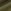 Khaki Green