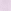 Lilac Purple