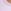 Lilac Purple
