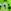 Green Dinosaur