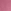 Peony Pink