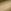Brass