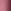 Rosa magenta