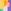 Yellow/Pink