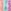 Purple/Orange