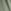 Herb Green