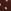 Rust Brown