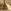 Antique Brass