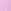 Lilac Purple