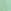 Green Bird