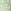 Green Ditsy Floral