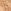 Medium 10
