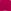 775 pink petunia