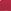 773 Pink Tulip