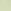 Sage Green Velvet