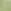 Sage Green Velvet