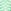 Tea Tree Oil
