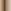 Medium Brown