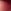 Berry Tint