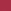 Roomiest Rose