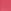 209 Pink Desire