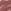 Pink Mauve