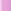 Bare Lilac