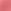 Bare Rose