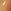NC45