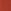 Coveted Coral