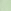 Graphic Fluro Green
