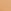 Warm Golden Beige