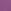 Violet motif lézard