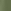 Khaki Green Back Print