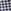 Navy/White Gingham