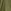 Khaki Green