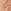 Medium 10