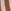Brown Neutral