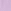 Lilac Purple