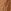 Neutral Tan 21
