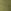 Green Khaki
