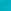 Cactus Blue