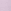 Doll Lilac