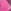 Fuschia Pink/Black