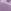 Lilac Purple