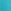Dusty Cactus