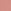 Sweet Coral