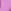 Pink/Purple