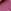 Cranberry