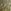 Ochre